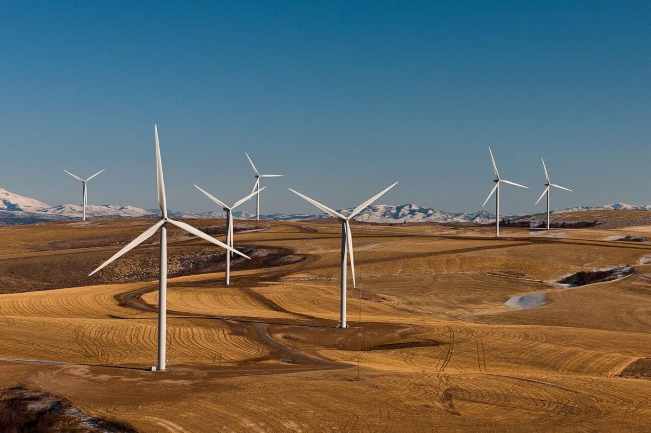 Trump Just Lost His War on Wind Energy: Administration Drops Appeal of Wind Leasing Freeze Ruling