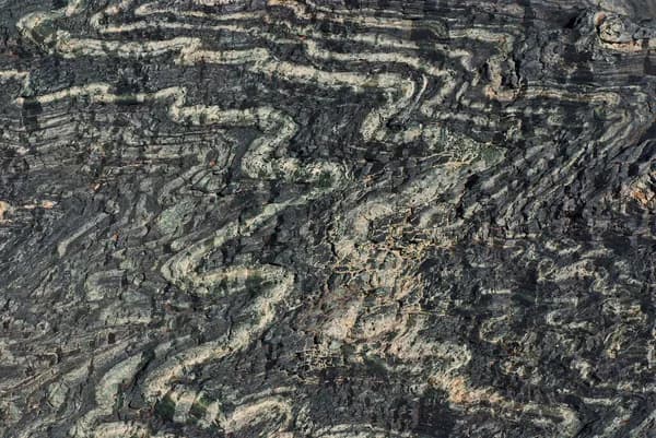 Google Expands Support for Breakthrough Carbon Removal Technologies Through Frontier