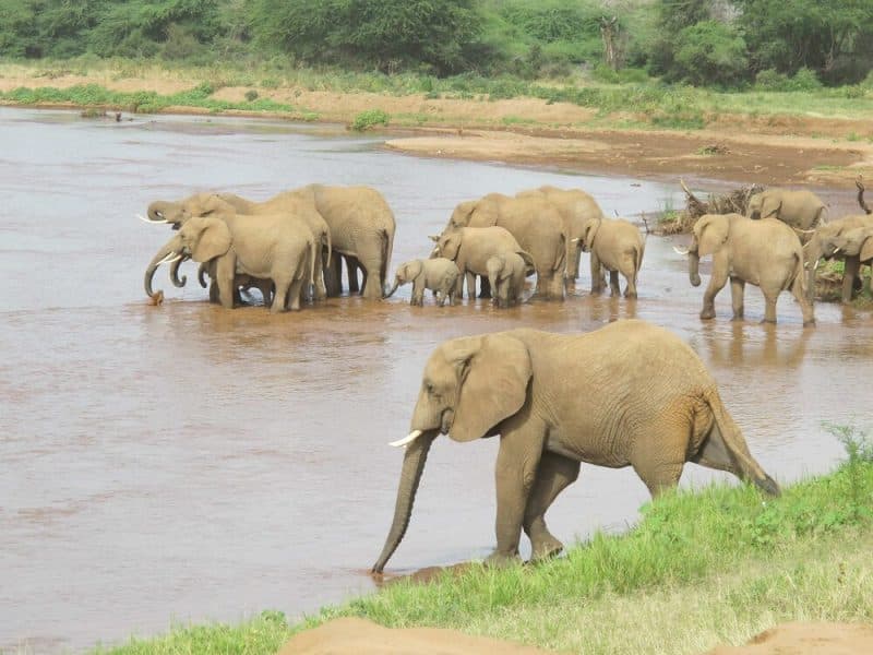 Watering Hole Attacks Push ScanBox Keylogger: What You Need to Know