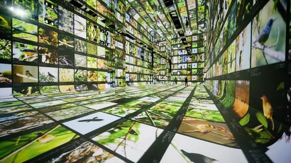 Dataland: Inside the World's First AI Arts Museum Powered by Google Cloud