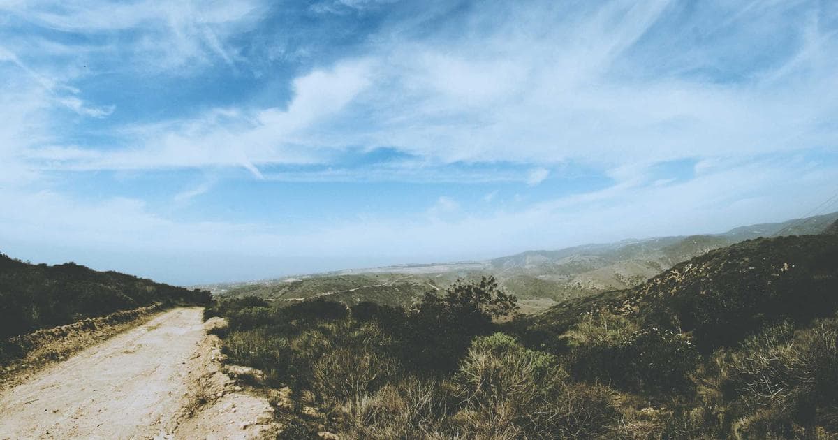 Agent Sandboxes Are the New Enterprise Desktop