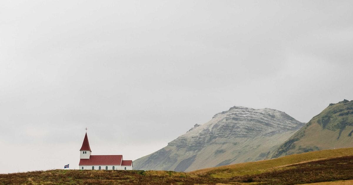 Ditch the Cloud: 5 Best Self-Hosted Photo & Video Gallery Options