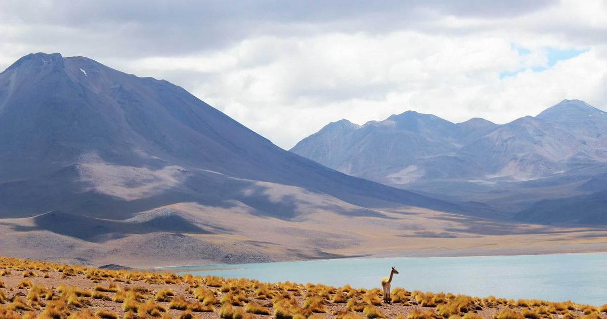 Valve Now Lets You Build Your Own Steam Machine with SteamOS for Desktop