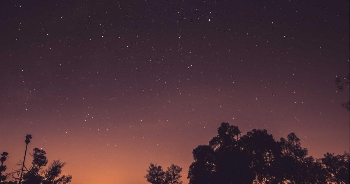 E-Commerce in the Age of AI: Key Insights from Michael Morton