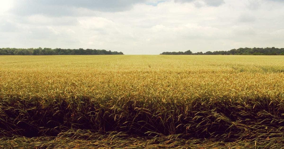 Inference Cost at Scale: What Napkin Math Reveals About AI Economics